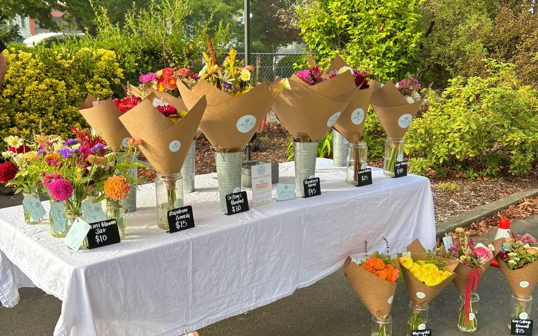 Slideshow image 3