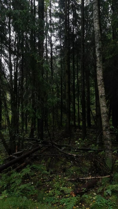 Slideshow image 1