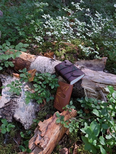 Slideshow image 4