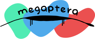 Megaptera French Fingerboards Home