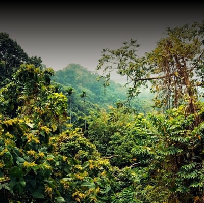 Slideshow image 3