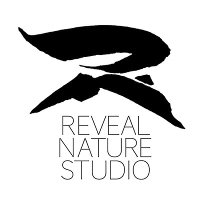 Reveal Nature Studio Home