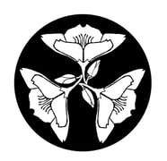 Lauren Bird  Home