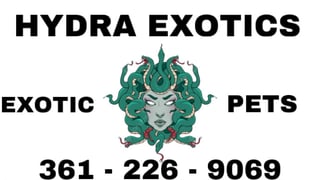 Hydra Exotics Home