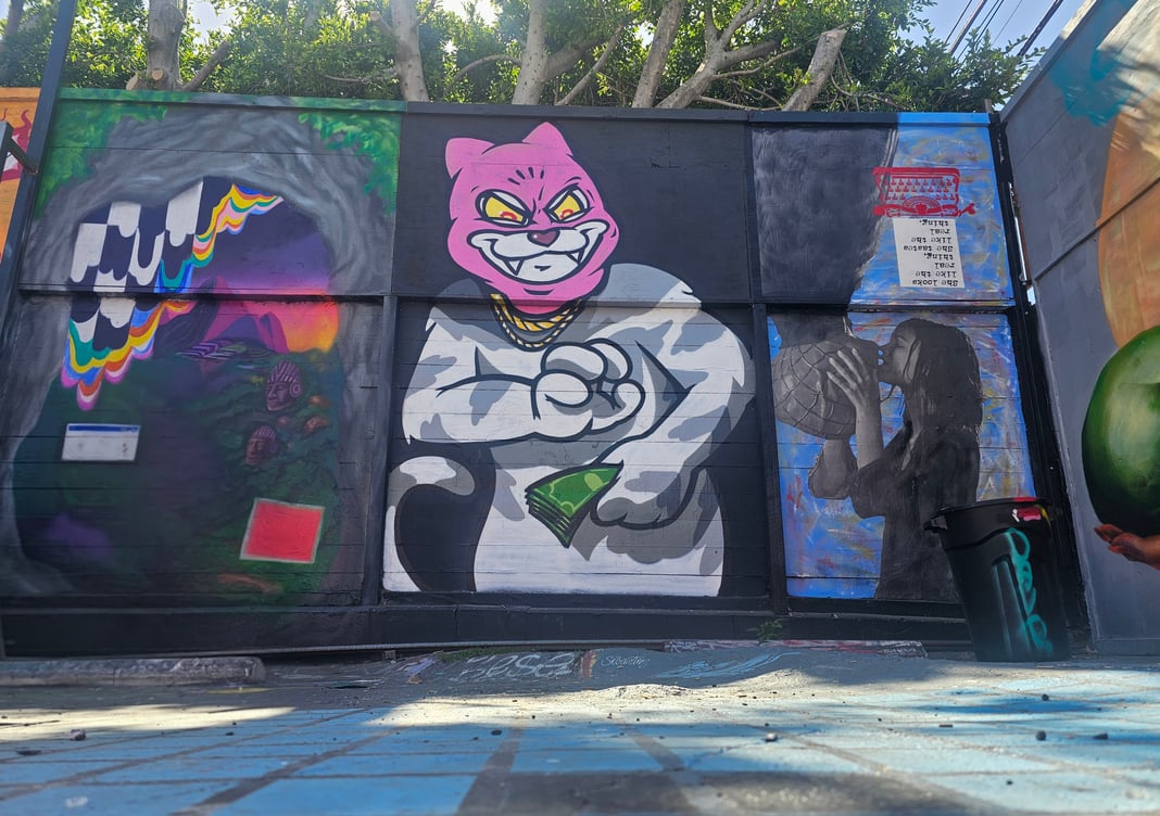 Slideshow image 9