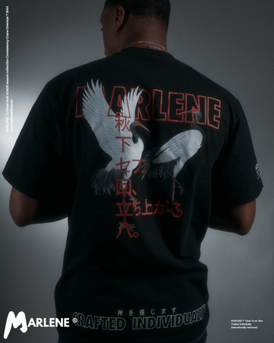 Slideshow image 2