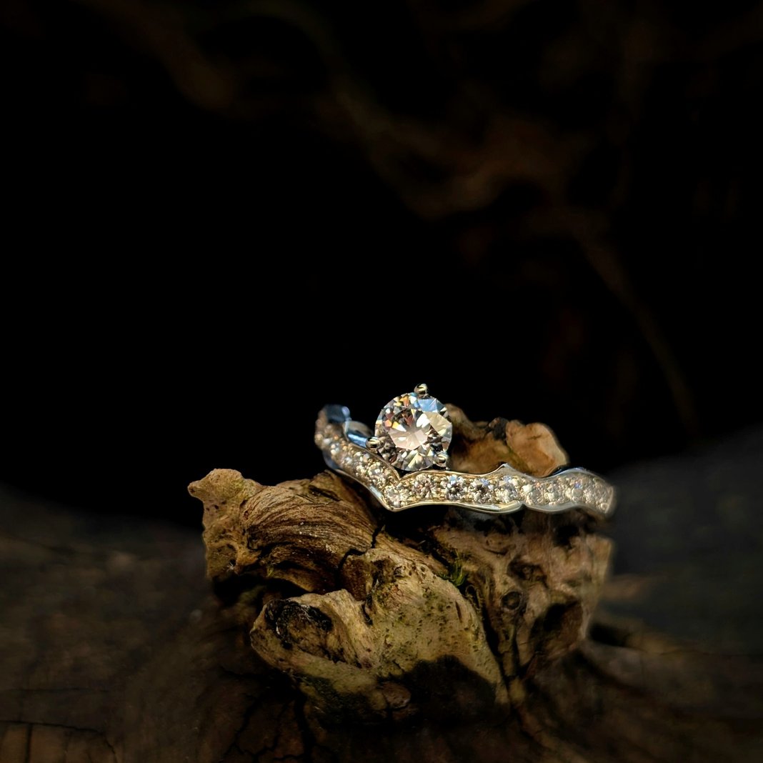 Slideshow image 2