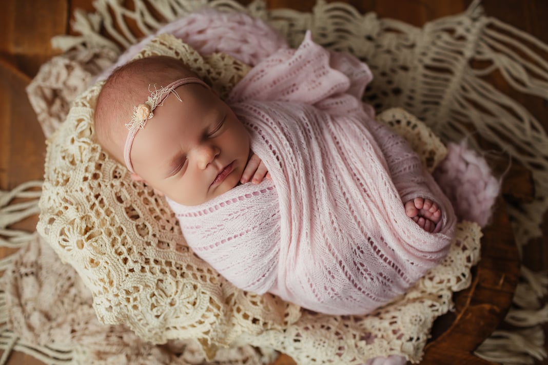 Slideshow image 15