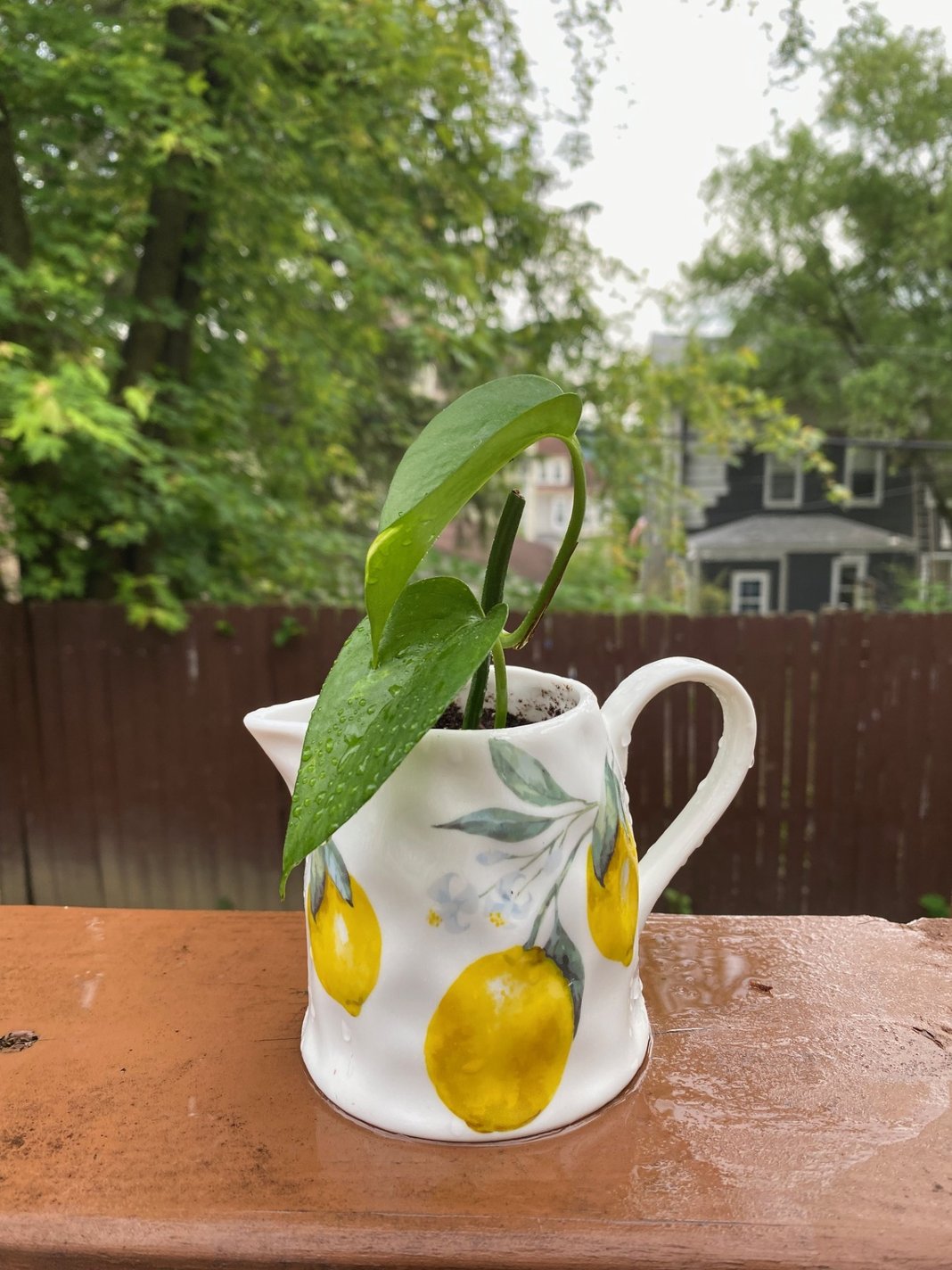 Slideshow image 12