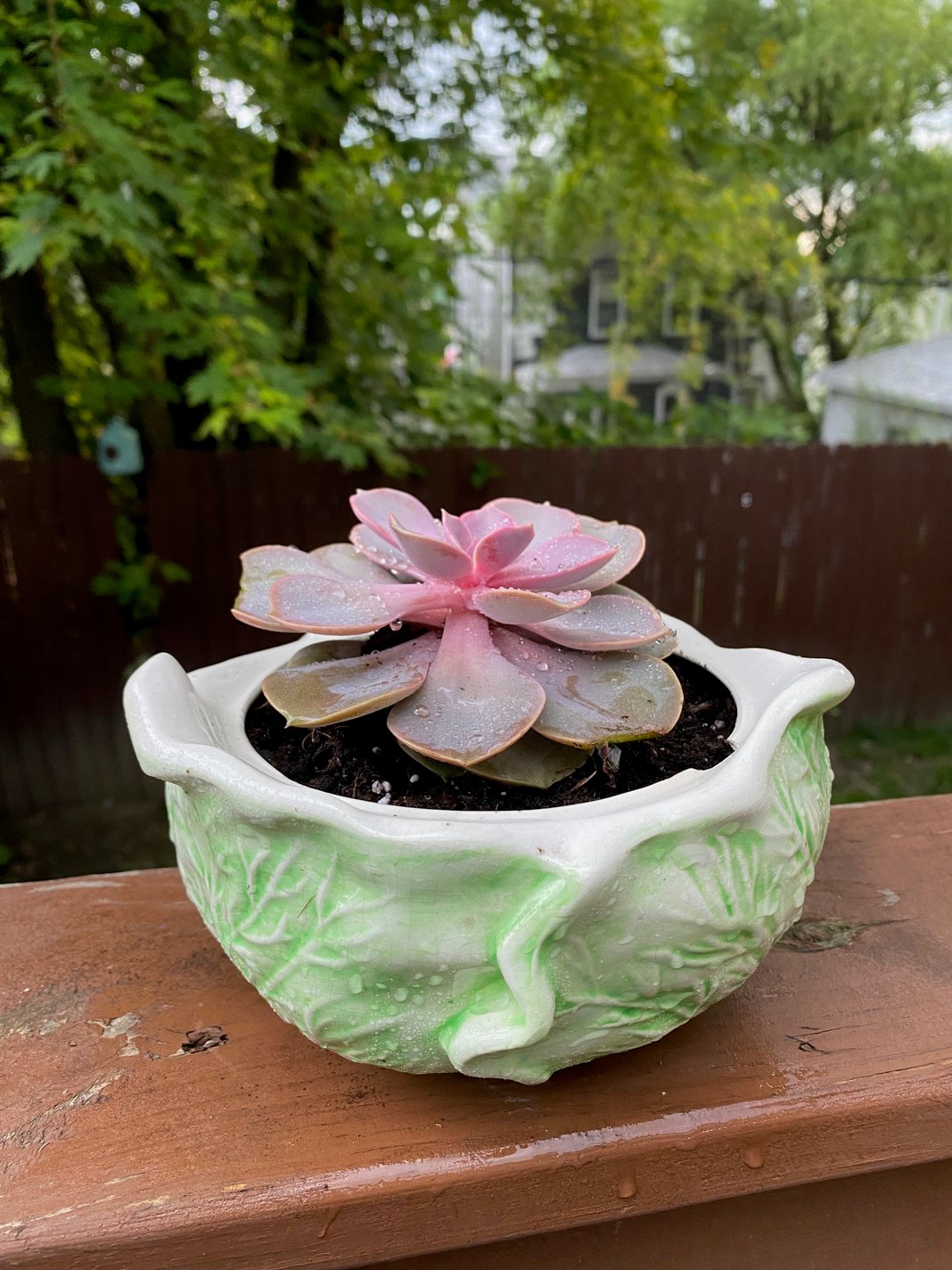 Slideshow image 15