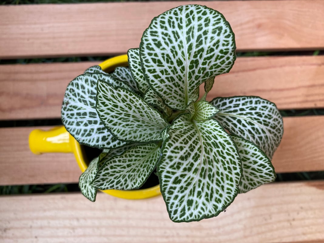 Slideshow image 17