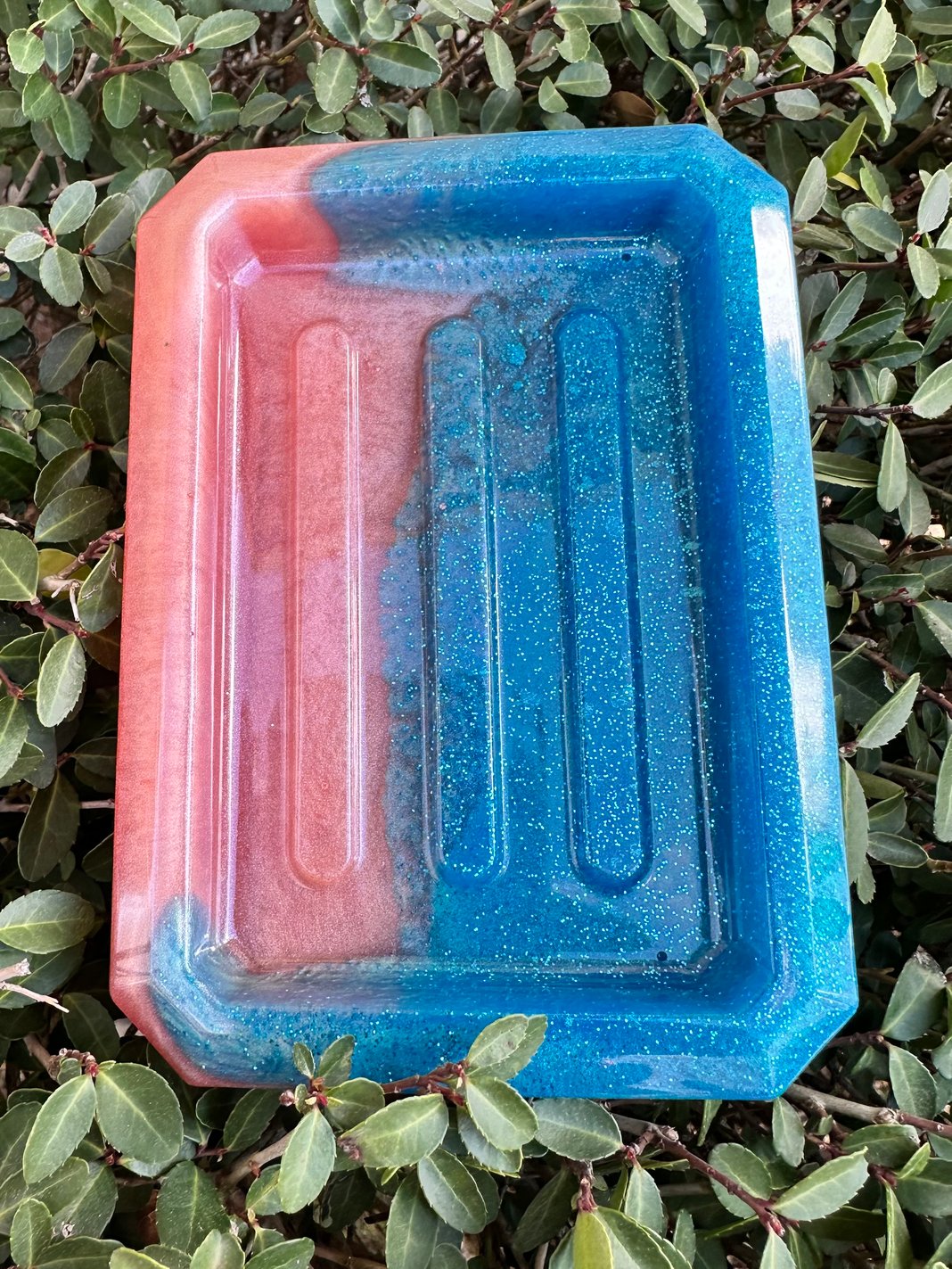 Slideshow image 5