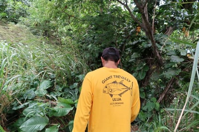 Slideshow image 1
