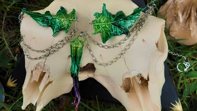 Slideshow image 1