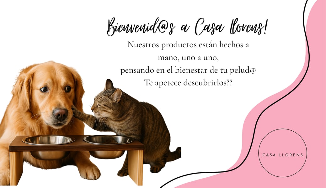 Casa Llorens Home