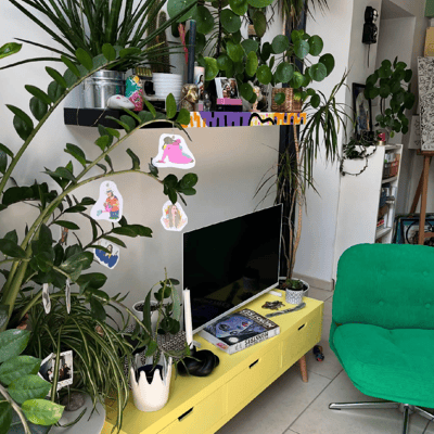 Slideshow image 9