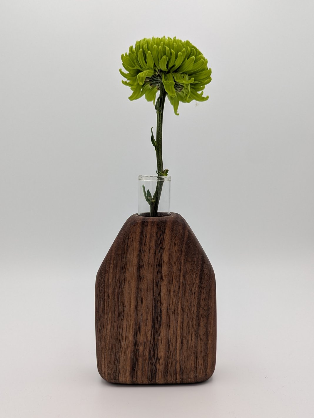 Slideshow image 7