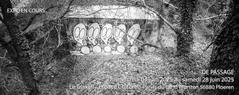 Slideshow image 3