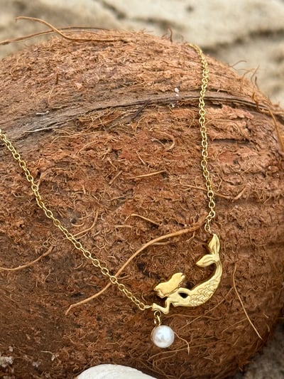 Slideshow image 4