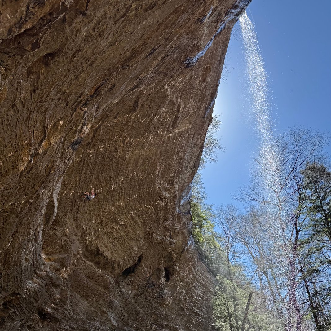 Slideshow image 8
