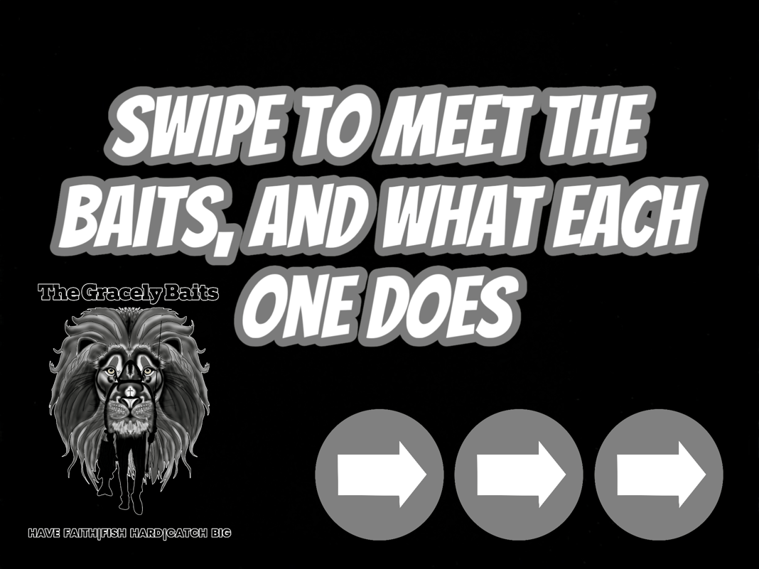 Slideshow image 1