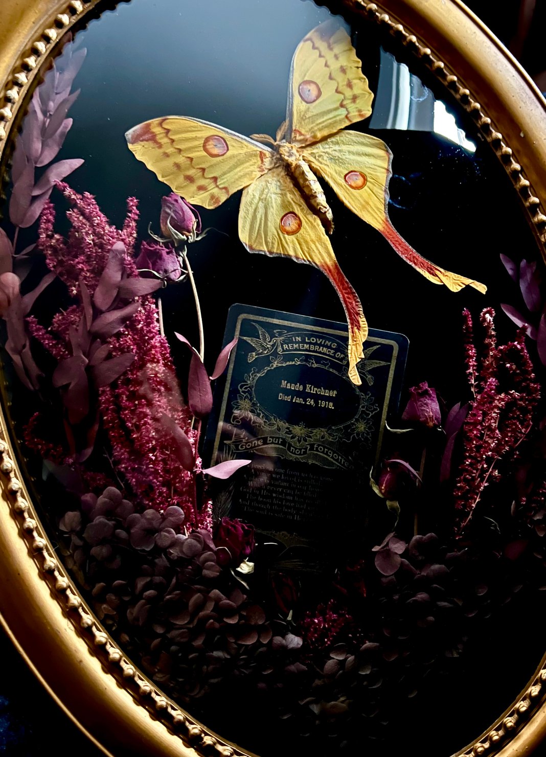 Slideshow image 1