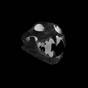 CENOBIA'S COLLECTIVE Home