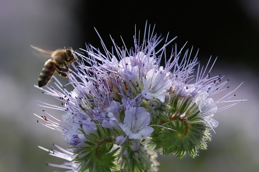 Slideshow image 3