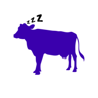 purplecowwhitemilk Home