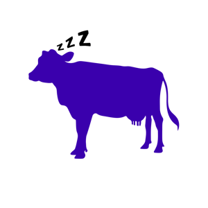 purplecowwhitemilk Home