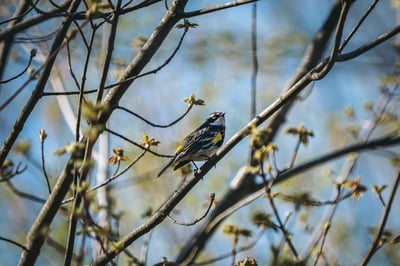 Slideshow image 4