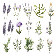 Christopher's Organics Home