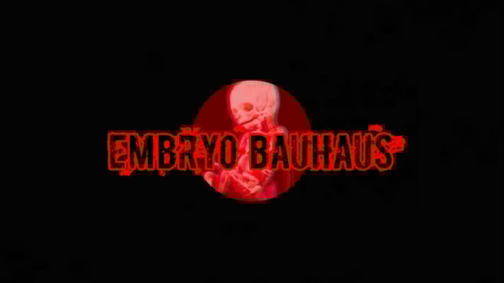 Embryo Bauhaus  Home