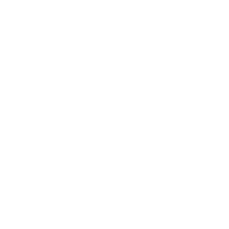 Forever Daisy Company Home