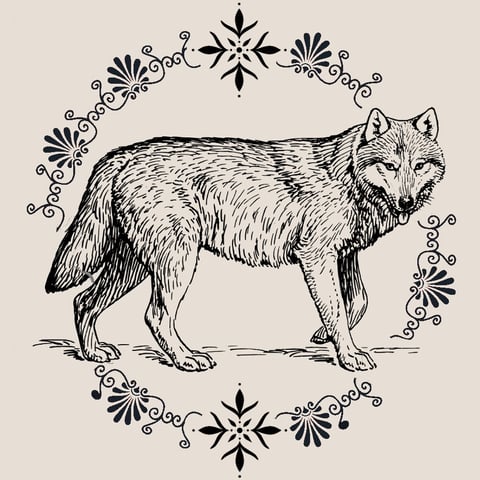 Wolfess Tattoos Home