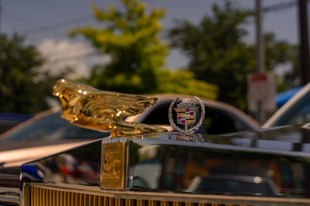 Slideshow image 6