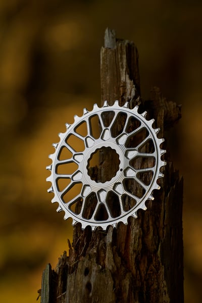 Slideshow image 1