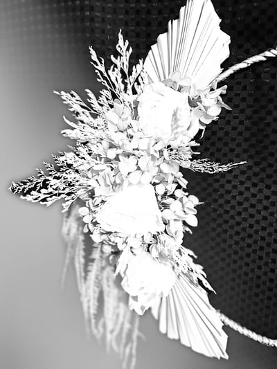 Slideshow image 11