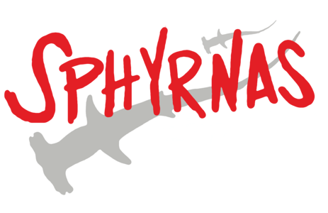 Sphyrnas Home