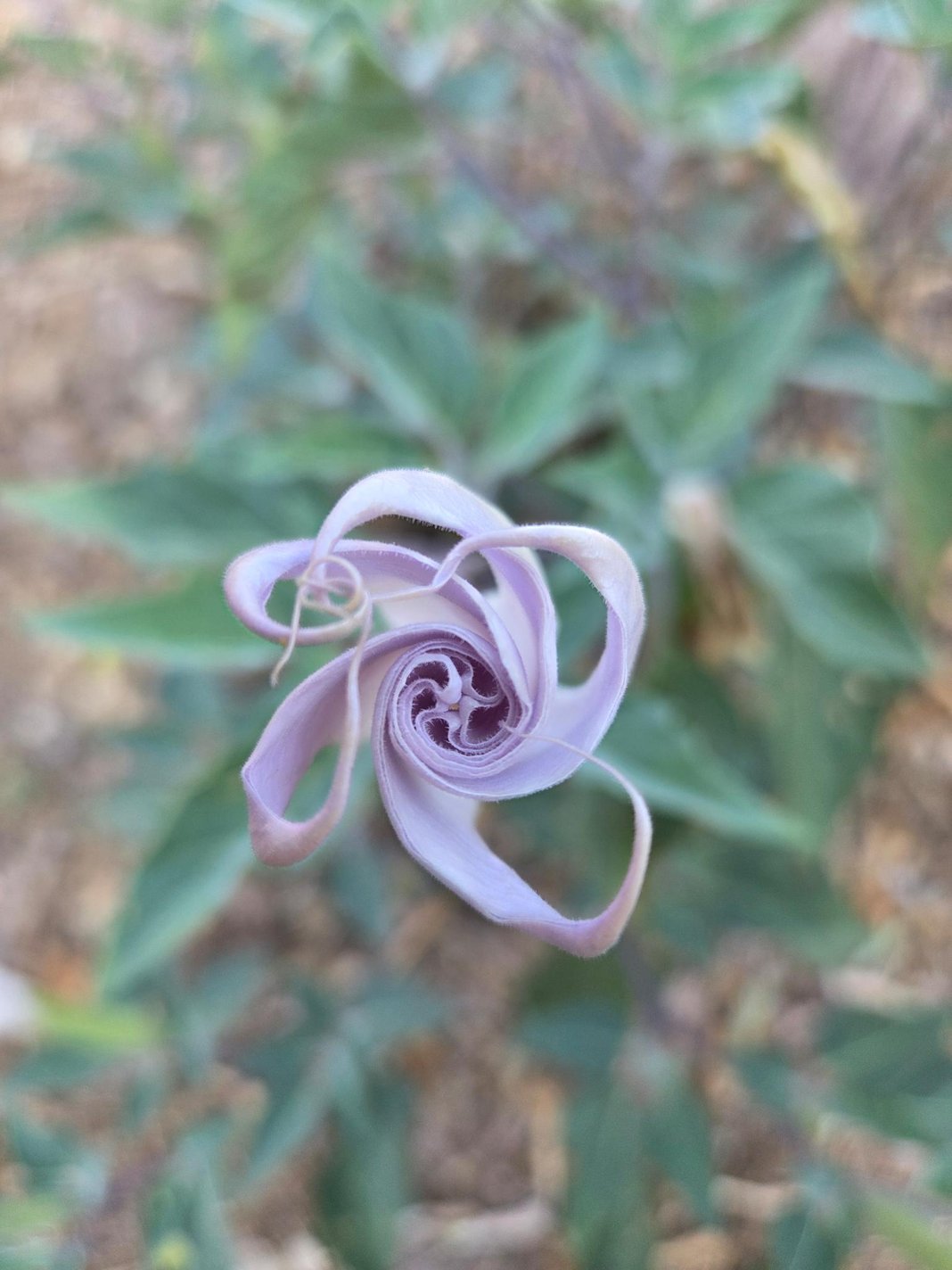 Slideshow image 3