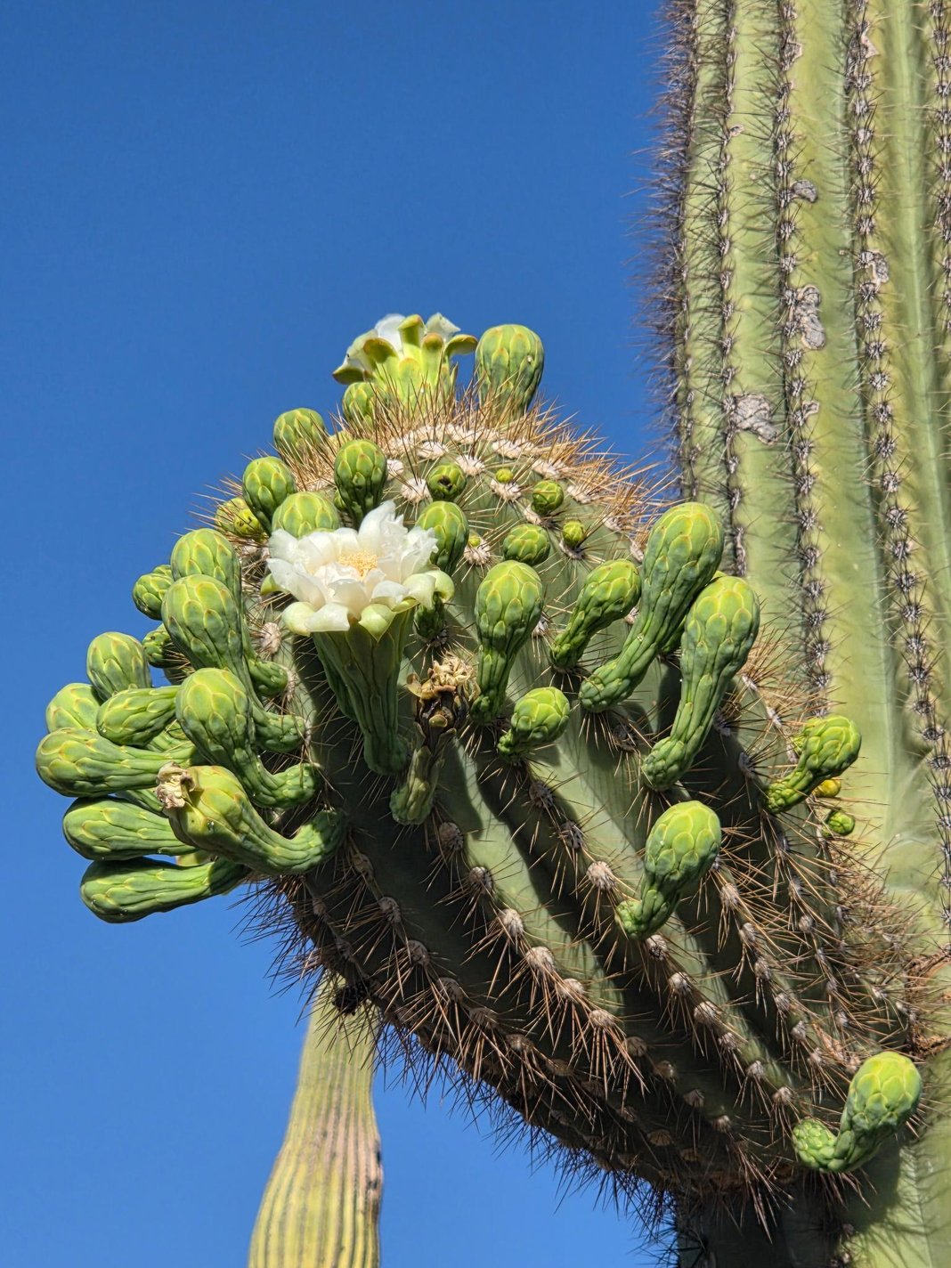 Slideshow image 5