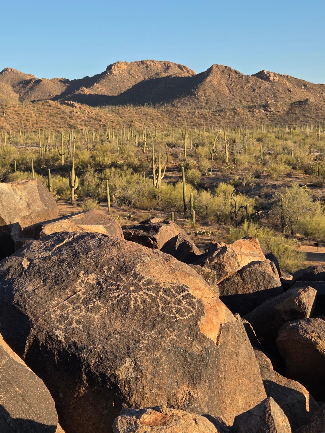 Slideshow image 6