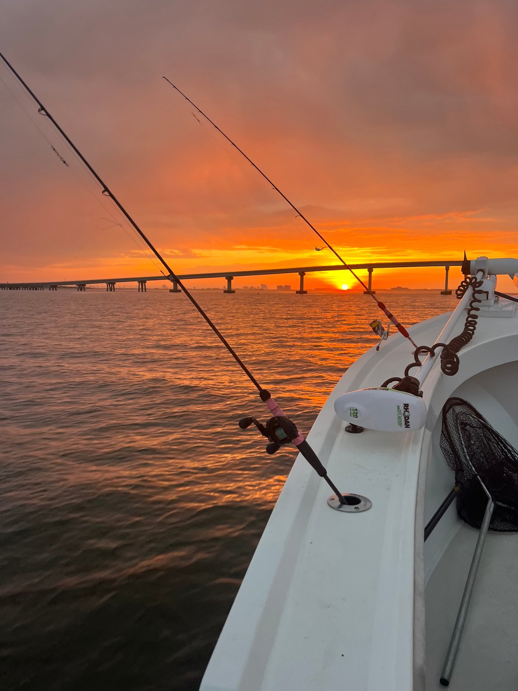 Slideshow image 15