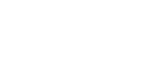 decoy surfboards Home