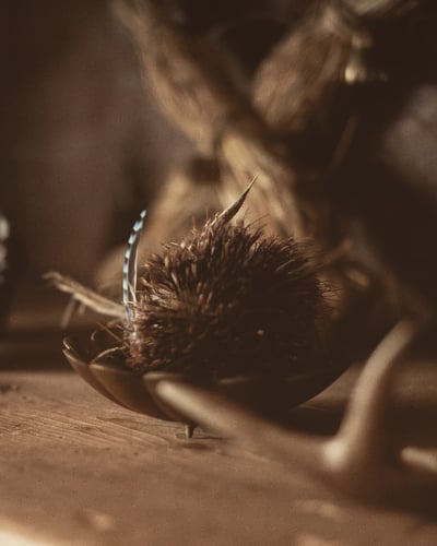 Slideshow image 6