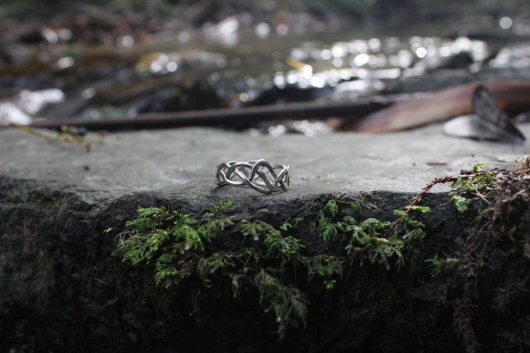 Slideshow image 3