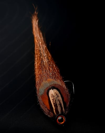 Slideshow image 4