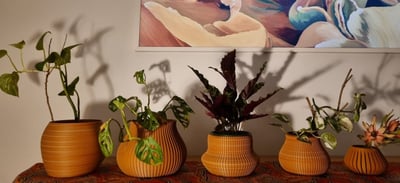 Slideshow image 1