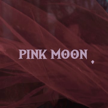 pink moon gallery Home