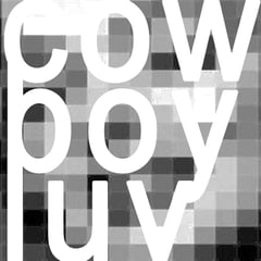 cowboyluver